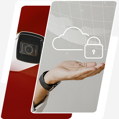 Seguridad videovigilancia